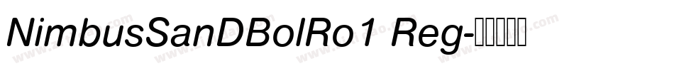 NimbusSanDBolRo1 Reg字体转换